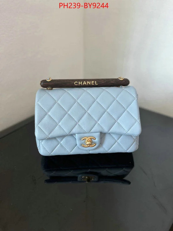 Chanel Limited Edition Handbag for CollectorsWF - Chanel Bags - 1362